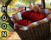 Apple Pickin Basket