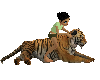 ! petting tiger !
