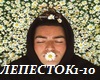 KopyushonNouMo-lepestok