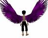 Black/Purple mist wings