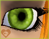 Kiwi Eyes