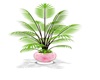 Pink/Wht Potted Plant