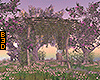 Eternal Spring PhotoRoom