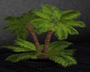 POTTED PALM IN BLACK POT