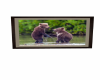 Bear picture 2