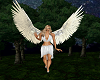 Angelic White Dress PF