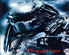 Predator picture