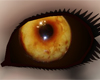 Yellow Monster Eyes