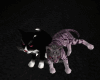 cats animated