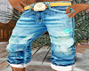 New Long Jean Shorts