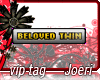 j| Beloved Twin