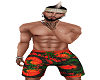 Rasta shorts