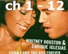 Whitney Houston-Iglesias