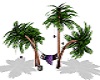 palm tree lounger w\pose