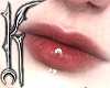 ╋━ LABRET