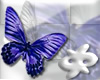 butterfly eclectic blue