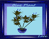~L~Blue/Green Plant~