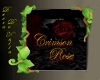 [DDN] Crimson Rose room