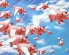 Flying Pigs Backdrop