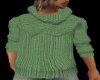 *AE* Green (m) sweater