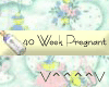 40 Weeks Pregnant (y)