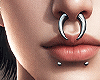 é Septum Set I