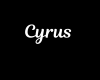 Cyrus  Necklace/F