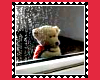 Teddy Waiting