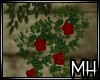 [MH] BdP Hanging Roses