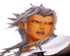 Special Xemnas!