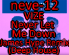 VIZE - Never Let Me Down