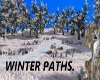 winter paths,