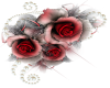::Roses:: {RH}