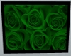 Green Rose *W*