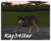 Jungle Park Black Wolf
