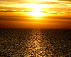 ocean sunrise/sunset