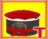 [ V ROSES RED ]