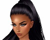 Ponytail Black Hair #155