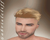 Blended Fashion Haircut