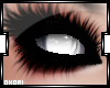 O| Torcalon Eyes M/F