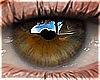 Eyes | Dark Brown