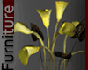 Yellow Gold Calla Lily