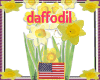 Daffodil Avatar Frame