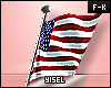 Y. USA 4th Flag
