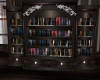 winter bookcase