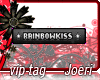 j| Rainbowkiss