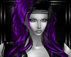 b purple lidia hairs