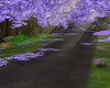 Blossoms Path