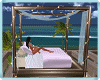 MAU/ CANOPY BEACH BED