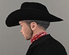 Hair for Cowboy Hat